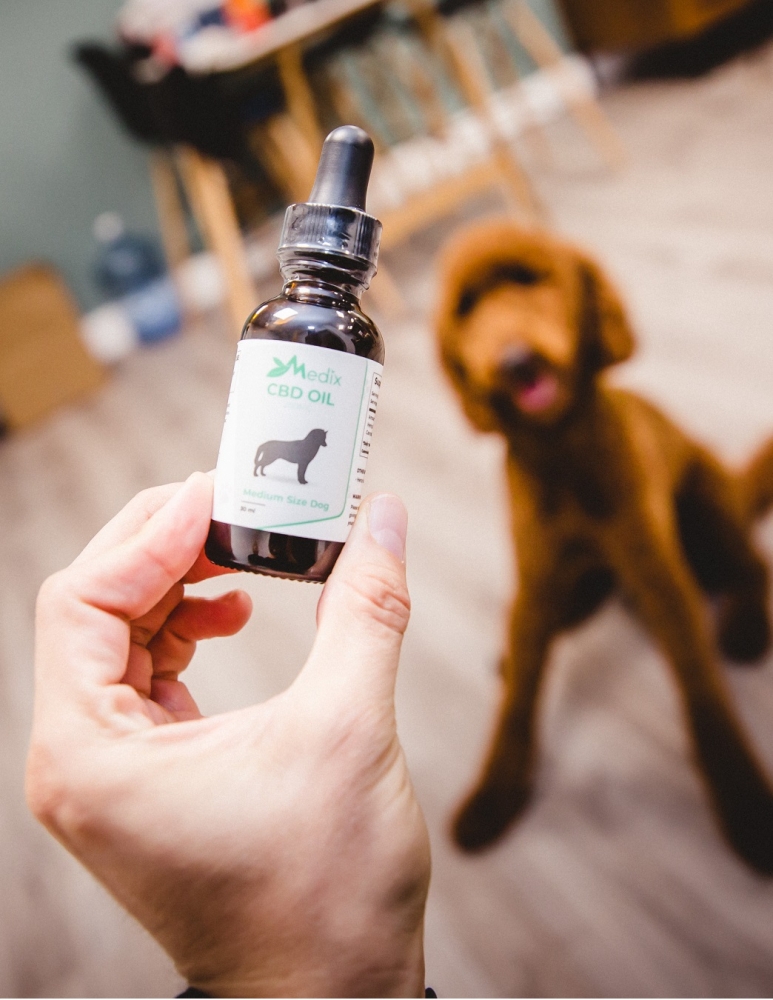 Попробуйте масло CBD для собак:   Medix CBD   делает здорово   масло CBD со вкусом бекона   это может легко быть понижено в воду и помогает уменьшить беспокойство в собаках