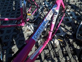 Rekola, фото: Ян Каван, ЧРО   - Один з найвідоміших наших фіналістів представляє на місцевому ринку систему велопроката, - це Rekola, рожеві велосипеди яких зараз можна побачити всюди в Празі та інших містах