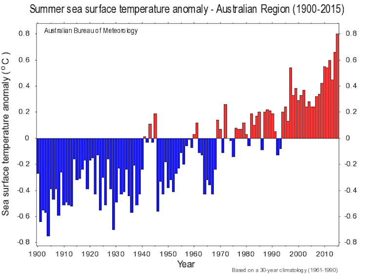 Лето 2015-2016 было   один из самых популярных за всю историю Австралии   ,  Но в водах, окружающих страну, также было жарко: самое жаркое лето за всю историю